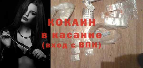 мет Алексин