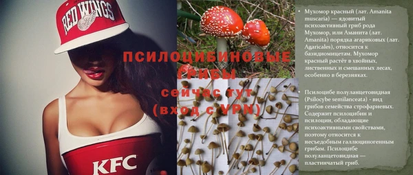 мет Алексин