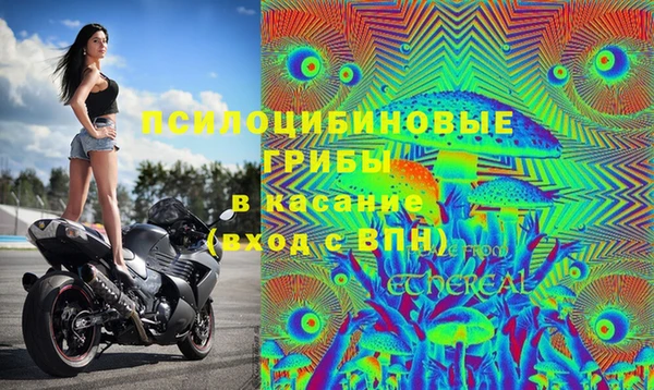 мет Алексин