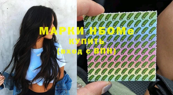 мет Алексин