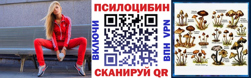 Галлюциногенные грибы Cubensis  Красноярск 