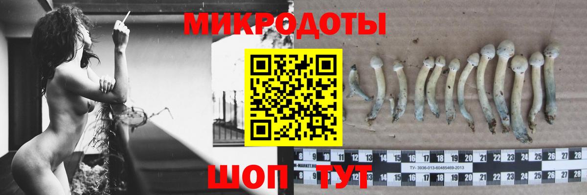 Красноярск  Галлюциногенные грибы Magic Shrooms  купить   Вход с VPN  Псилоцибиновые грибы GOLDEN TEACHER 